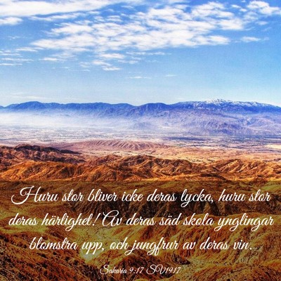 Picture 03 - Sakaria 9:17 SV1917 - Huru stor bliver icke deras lycka, huru stor - Bible Verse Picture