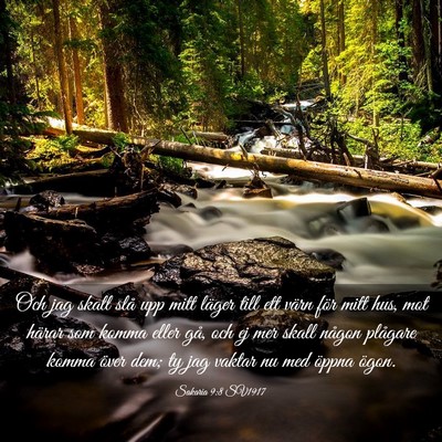 Picture 03 - Sakaria 9:8 SV1917 - Och jag skall slå upp mitt läger till ett värn - Bible Verse Picture