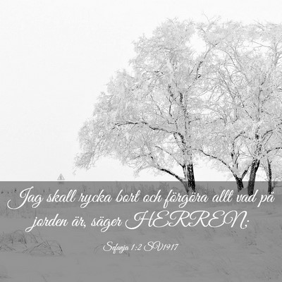 Picture 03 - Sefanja 1:2 SV1917 - Jag skall rycka bort och förgöra allt vad på - Bible Verse Picture