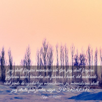 Picture 03 - Sefanja 1:3 SV1917 - jag skall förgöra människor och djur, jag - Bible Verse Picture