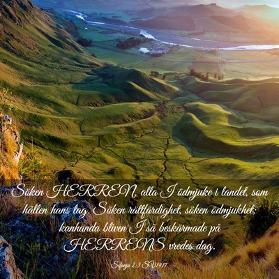 Picture 03 - Sefanja 2:3 SV1917 - Söken HERREN, alla I ödmjuke i landet, som - Bible Verse Picture