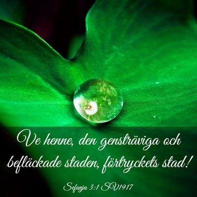 Picture 03 - Sefanja 3:1 SV1917 - Ve henne, den gensträviga och befläckade - Bible Verse Picture