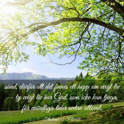 Picture 03 - Titusbrevet 1:2 SV1917 - sänd, därför att det finnes ett hopp om evigt - Bible Verse Picture