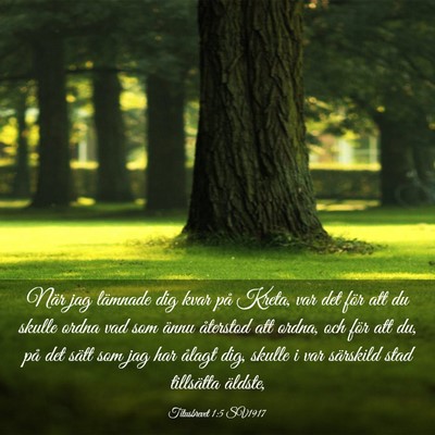 Picture 03 - Titusbrevet 1:5 SV1917 - När jag lämnade dig kvar på Kreta, var det - Bible Verse Picture