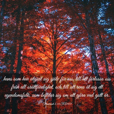 Picture 03 - Titusbrevet 2:14 SV1917 - hans som har utgivit sig själv för oss, till - Bible Verse Picture