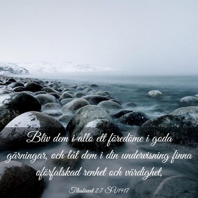 Picture 03 - Titusbrevet 2:7 SV1917 - Bliv dem i allo ett föredöme i goda gärningar, - Bible Verse Picture