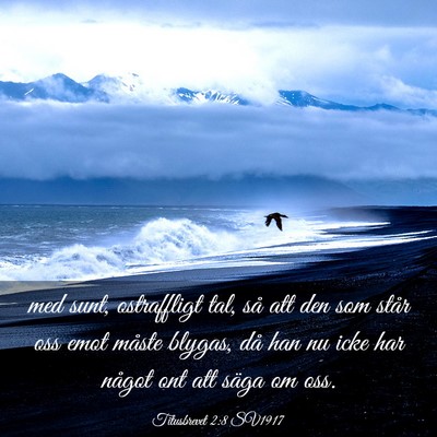 Picture 03 - Titusbrevet 2:8 SV1917 - med sunt, ostraffligt tal, så att den som står - Bible Verse Picture