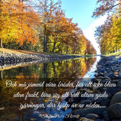 Picture 03 - Titusbrevet 3:14 SV1917 - Och må jämväl våra bröder, för att icke - Bible Verse Picture