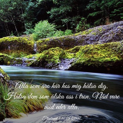 Picture 03 - Titusbrevet 3:15 SV1917 - Alla som äro här hos mig hälsa dig. Hälsa dem - Bible Verse Picture