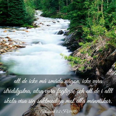 Picture 03 - Titusbrevet 3:2 SV1917 - att de icke må smäda någon, icke vara - Bible Verse Picture