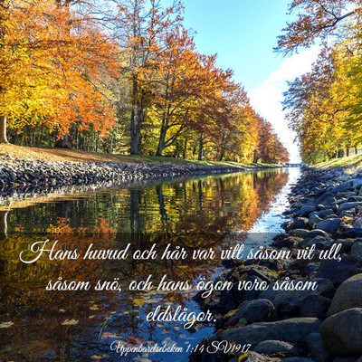 Picture 03 - Uppenbarelseboken 1:14 SV1917 - Hans huvud och hår var vitt såsom vit ull, - Bible Verse Picture
