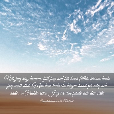 Picture 03 - Uppenbarelseboken 1:17 SV1917 - När jag såg honom, föll jag ned för hans - Bible Verse Picture