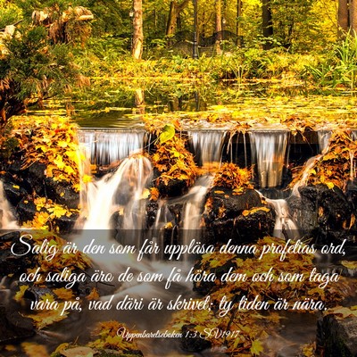 Picture 03 - Uppenbarelseboken 1:3 SV1917 - Salig är den som får uppläsa denna profetias - Bible Verse Picture