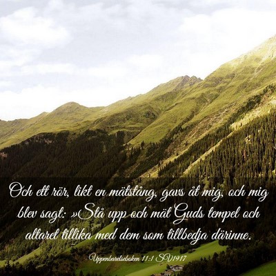 Picture 03 - Uppenbarelseboken 11:1 SV1917 - Och ett rör, likt en mätstång, gavs åt mig, - Bible Verse Picture
