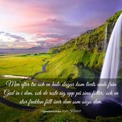 Picture 03 - Uppenbarelseboken 11:11 SV1917 - Men efter tre och en halv dagar kom livets ande - Bible Verse Picture