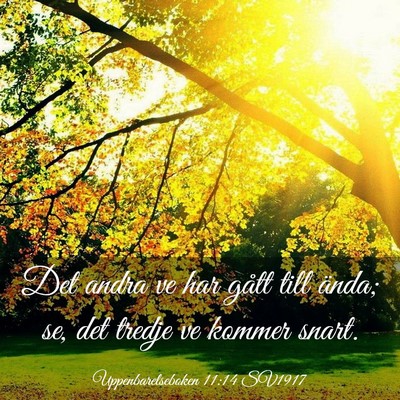 Picture 03 - Uppenbarelseboken 11:14 SV1917 - Det andra ve har gått till ända; se, det tredje - Bible Verse Picture