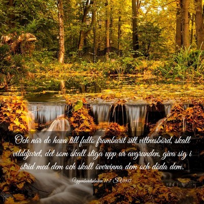 Picture 03 - Uppenbarelseboken 11:7 SV1917 - Och när de hava till fullo framburit sitt - Bible Verse Picture