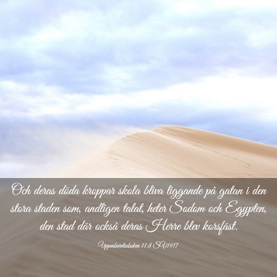 Picture 03 - Uppenbarelseboken 11:8 SV1917 - Och deras döda kroppar skola bliva liggande på - Bible Verse Picture
