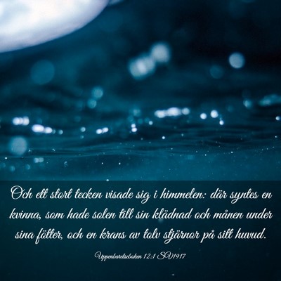Picture 03 - Uppenbarelseboken 12:1 SV1917 - Och ett stort tecken visade sig i himmelen: där - Bible Verse Picture