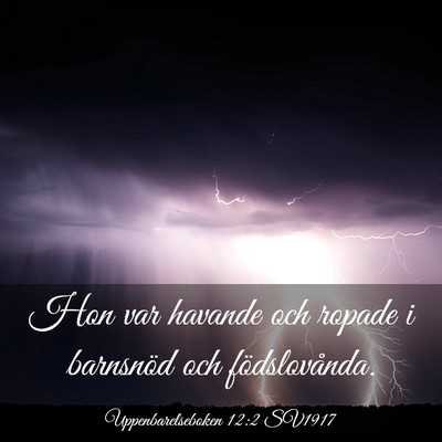 Picture 03 - Uppenbarelseboken 12:2 SV1917 - Hon var havande och ropade i barnsnöd och - Bible Verse Picture