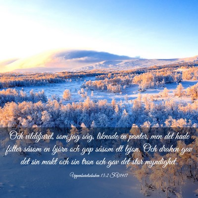 Picture 03 - Uppenbarelseboken 13:2 SV1917 - Och vilddjuret, som jag såg, liknade en panter, - Bible Verse Picture