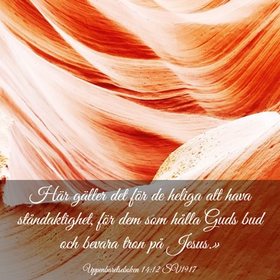 Picture 03 - Uppenbarelseboken 14:12 SV1917 - Här gäller det för de heliga att hava - Bible Verse Picture