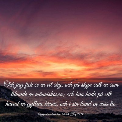 Picture 03 - Uppenbarelseboken 14:14 SV1917 - Och jag fick se en vit sky, och på skyn satt en - Bible Verse Picture