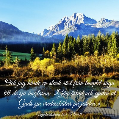 Picture 03 - Uppenbarelseboken 16:1 SV1917 - Och jag hörde en stark röst från templet säga - Bible Verse Picture