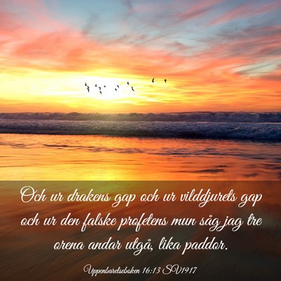 Picture 03 - Uppenbarelseboken 16:13 SV1917 - Och ur drakens gap och ur vilddjurets gap och ur - Bible Verse Picture
