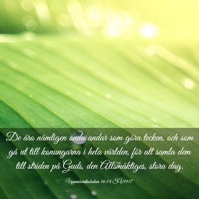 Picture 03 - Uppenbarelseboken 16:14 SV1917 - De äro nämligen onda andar som göra tecken, - Bible Verse Picture