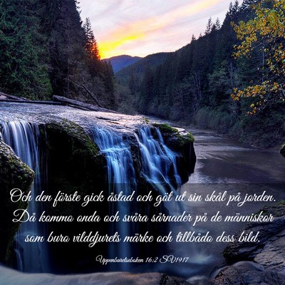 Picture 03 - Uppenbarelseboken 16:2 SV1917 - Och den förste gick åstad och göt ut sin skål - Bible Verse Picture