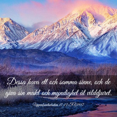 Picture 03 - Uppenbarelseboken 17:13 SV1917 - Dessa hava ett och samma sinne, och de giva sin - Bible Verse Picture