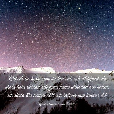 Picture 03 - Uppenbarelseboken 17:16 SV1917 - Och de tio horn, som du har sett, och vilddjuret, - Bible Verse Picture