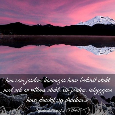 Picture 03 - Uppenbarelseboken 17:2 SV1917 - hon som jordens konungar hava bedrivit otukt med - Bible Verse Picture