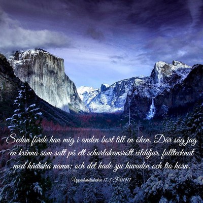 Picture 03 - Uppenbarelseboken 17:3 SV1917 - Sedan förde han mig i anden bort till en öken. - Bible Verse Picture