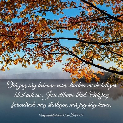 Picture 03 - Uppenbarelseboken 17:6 SV1917 - Och jag såg kvinnan vara drucken av de heligas - Bible Verse Picture