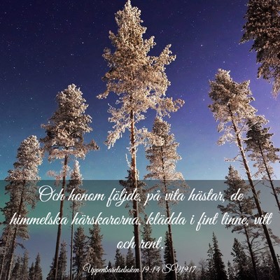 Picture 03 - Uppenbarelseboken 19:14 SV1917 - Och honom följde, på vita hästar, de himmelska - Bible Verse Picture