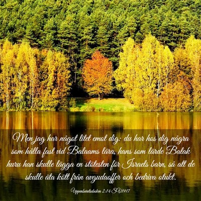 Picture 03 - Uppenbarelseboken 2:14 SV1917 - Men jag har något litet emot dig: du har hos dig - Bible Verse Picture