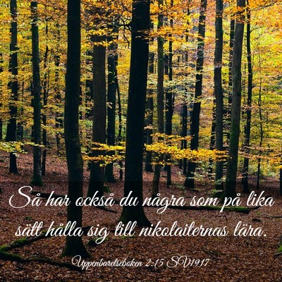 Picture 03 - Uppenbarelseboken 2:15 SV1917 - Så har också du några som på lika sätt - Bible Verse Picture
