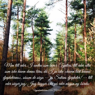 Picture 03 - Uppenbarelseboken 2:24 SV1917 - Men till eder, I andra som bon i Tyatira, till - Bible Verse Picture