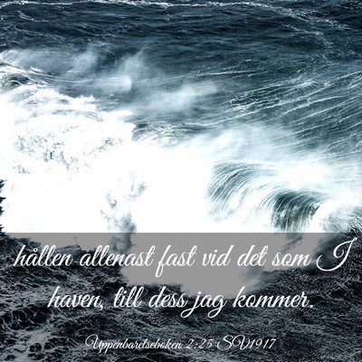 Picture 03 - Uppenbarelseboken 2:25 SV1917 - hållen allenast fast vid det som I haven, till - Bible Verse Picture