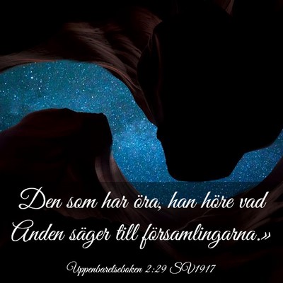 Picture 03 - Uppenbarelseboken 2:29 SV1917 - Den som har öra, han höre vad Anden säger till - Bible Verse Picture
