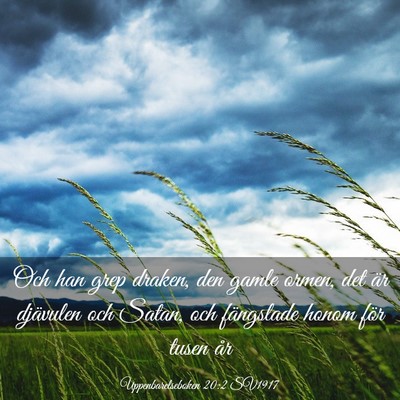 Picture 03 - Uppenbarelseboken 20:2 SV1917 - Och han grep draken, den gamle ormen, det är - Bible Verse Picture