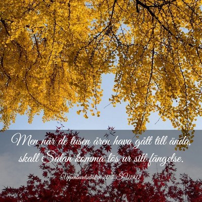 Picture 03 - Uppenbarelseboken 20:7 SV1917 - Men när de tusen åren hava gått till ända, - Bible Verse Picture