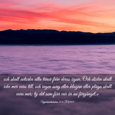 Picture 03 - Uppenbarelseboken 21:4 SV1917 - och skall avtorka alla tårar från deras ögon. - Bible Verse Picture