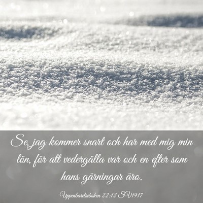 Picture 03 - Uppenbarelseboken 22:12 SV1917 - Se, jag kommer snart och har med mig min lön, - Bible Verse Picture