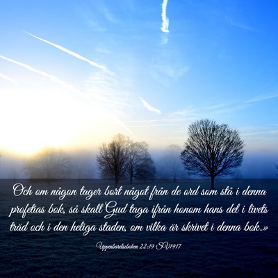 Picture 03 - Uppenbarelseboken 22:19 SV1917 - Och om någon tager bort något från de ord som - Bible Verse Picture