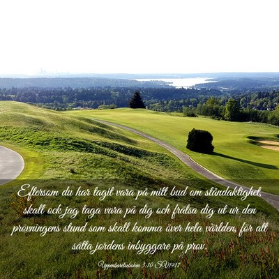 Picture 03 - Uppenbarelseboken 3:10 SV1917 - Eftersom du har tagit vara på mitt bud om - Bible Verse Picture