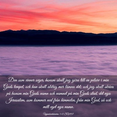 Picture 03 - Uppenbarelseboken 3:12 SV1917 - Den som vinner seger, honom skall jag göra till - Bible Verse Picture