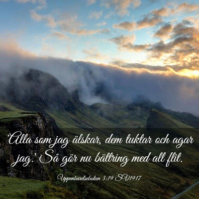 Picture 03 - Uppenbarelseboken 3:19 SV1917 - 'Alla som jag älskar, dem tuktar och agar jag.' - Bible Verse Picture